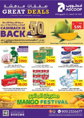 Al Ain Coop offer thumb