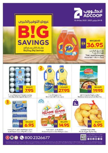 Al Ain Coop offer thumb
