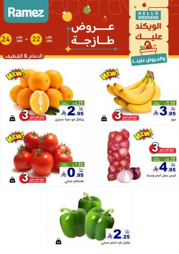 Ramez Center offer thumb