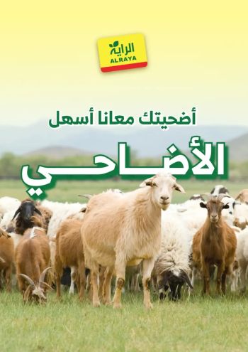 Al Raya Market offer thumb