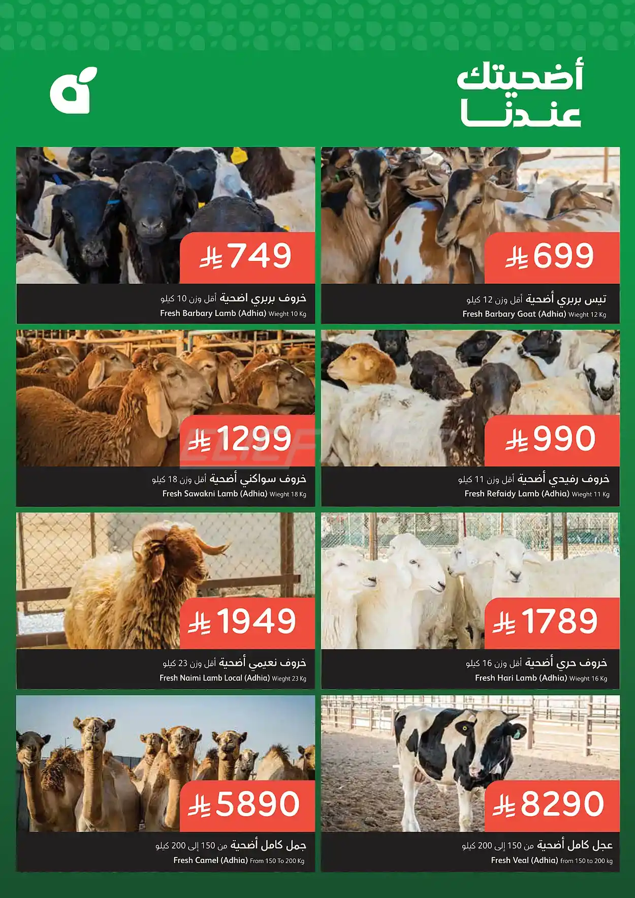 offerimage