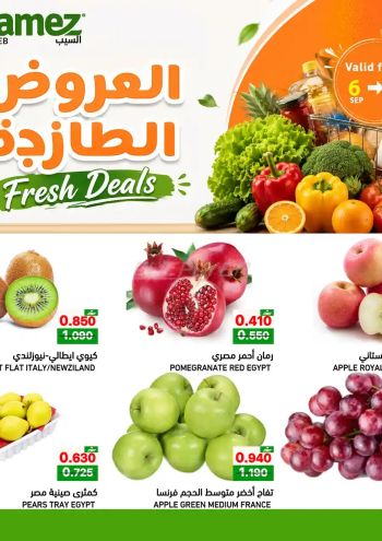 Ramez Center offer thumb